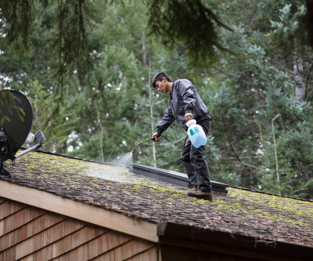 Roof Cleaning example 2